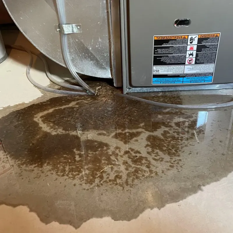 Pipe Burst and Leak Restoration in Pepper Pike, OH